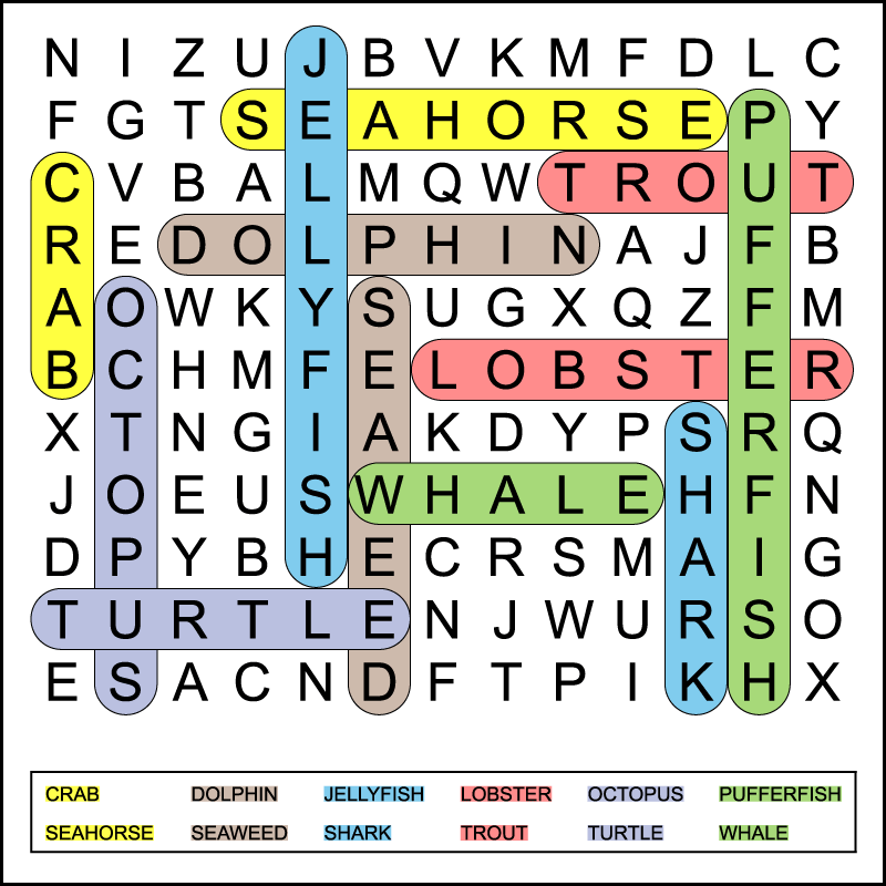 A color coded 1st grade summer word search answer key. The printable kid's word search has 12 hidden words in an 11 X 13 grid of large print letters.