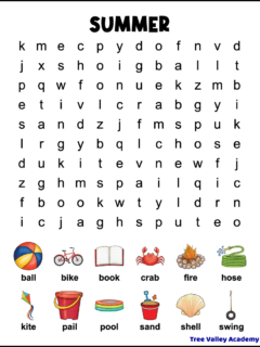 A printable summer word search for kids. The easy word find has 12 hidden words in a 10X12 grid of lowercase letters. Each of the words to find has an image showing what the word is.