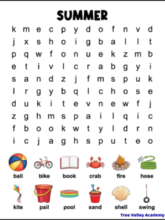A printable summer word search for kids. The easy word find has 12 hidden words in a 10X12 grid of lowercase letters. Each of the words to find has an image showing what the word is.