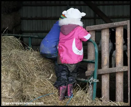 Children in a barn, standing on piles of hay looking at a group of baby calves.