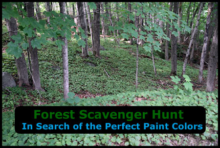 Forest Scavenger Hunt for Kids- The Search of the Perfect Paint Color. Based on the Sophie Mouse book series.