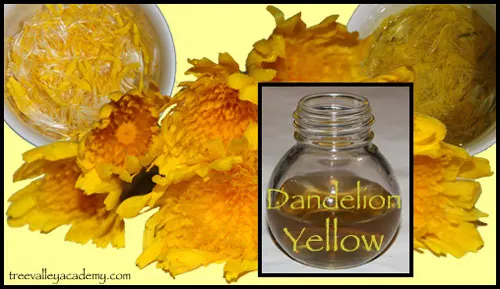 On the quest for the perfect natural dye. Experimenting what kind of yellow dye, we can make with Dandelion Yellow.