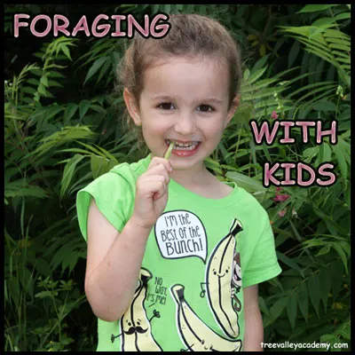 Foraging With Kids