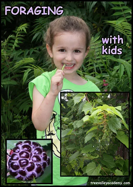 Learning and teaching kids foraging.