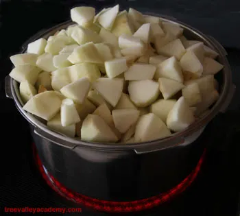 cooking apples for apple pie #apples #applepie #treevalleyacademy