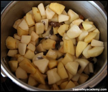 cooking apples and raisins with sugar for a German apple pie #apples #applepie #treevalleyacademy