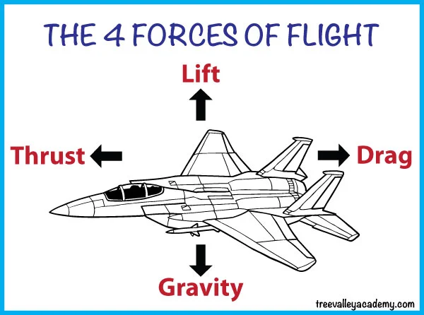 The 4 forces of flight: lift, gravity, thrust & drag.