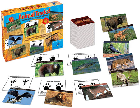 Educational Science Gift For 5-6 year olds: Animal Tracks Science Game