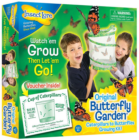 Science Toy for Kindergarten aged kids: Butterfly Garden