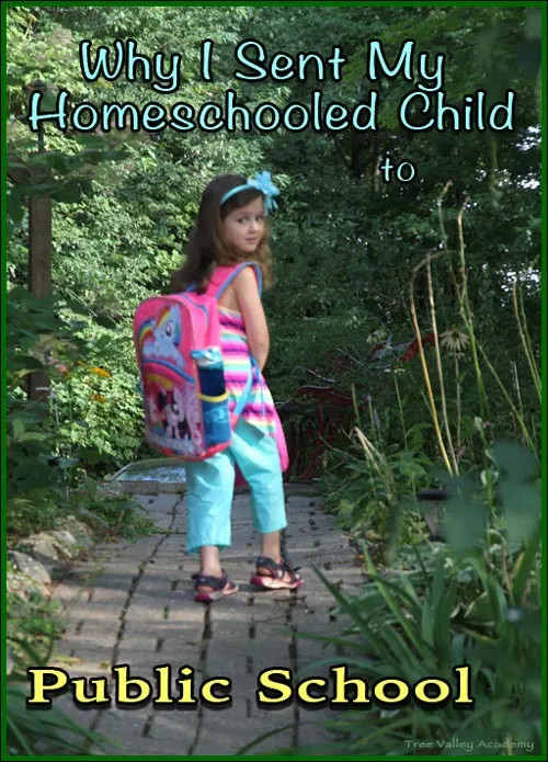 The debate and decision: "Should I send my homeschooled child to public school?"