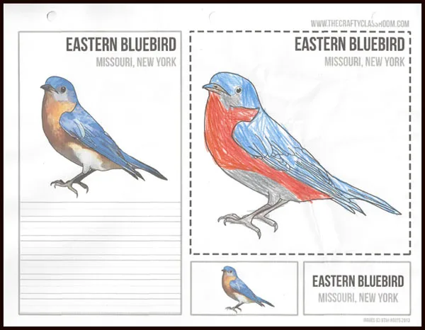 Review of the USA Activity Bundle from The Crafty Classroom. The bundle includes USA State Bird Art Cards. 