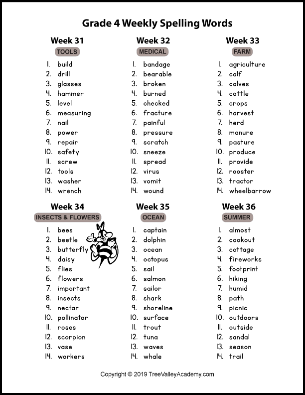 English Words For Grade 3