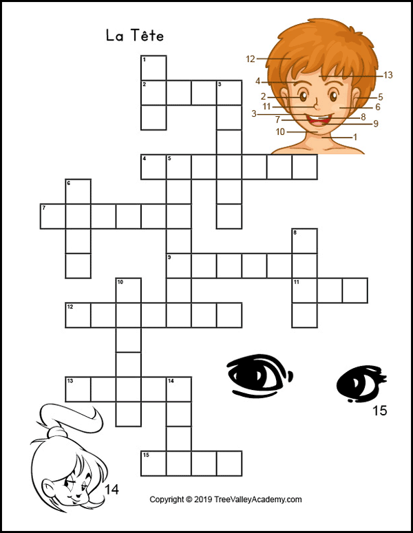 French body parts worksheet. Free printable crossword to practice body parts in french, specifically the names of parts of the head. | Fiche de travail sur les parties du corps. (La tête) Mots croisés gratuits.