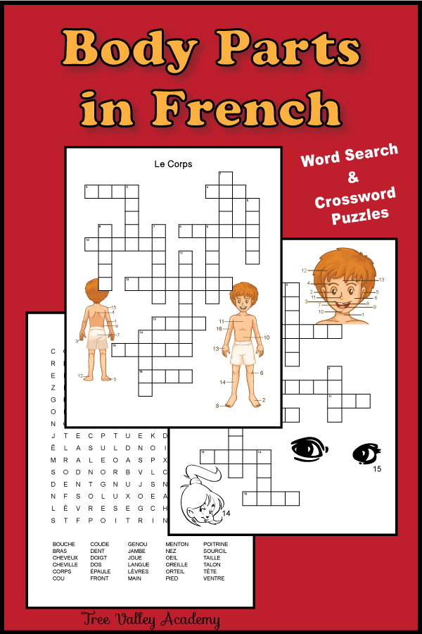 Grab a french body parts worksheet. Free printable crossword puzzles and a word search to practice the names of body parts in french. | Fiche de travail sur les parties du corps. Mots croisés et mots cachés gratuits. #french #frenchworksheets #freeprintables #homeschool #learnfrench #treevalleyacademy