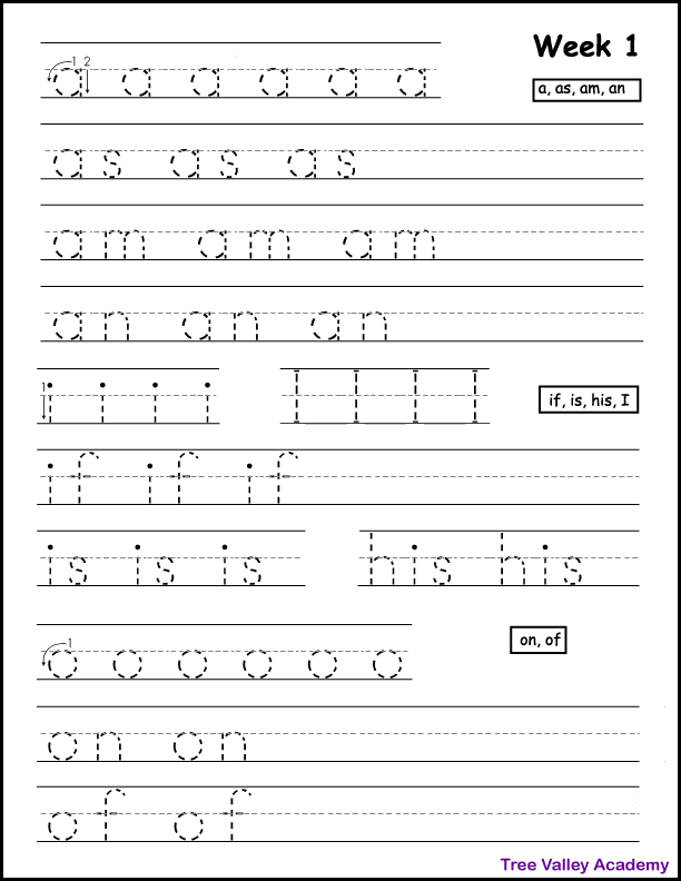 Grade 1 Spelling Workbook