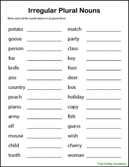 Printable Plural Nouns Worksheets for Kids - Tree Valley Academy