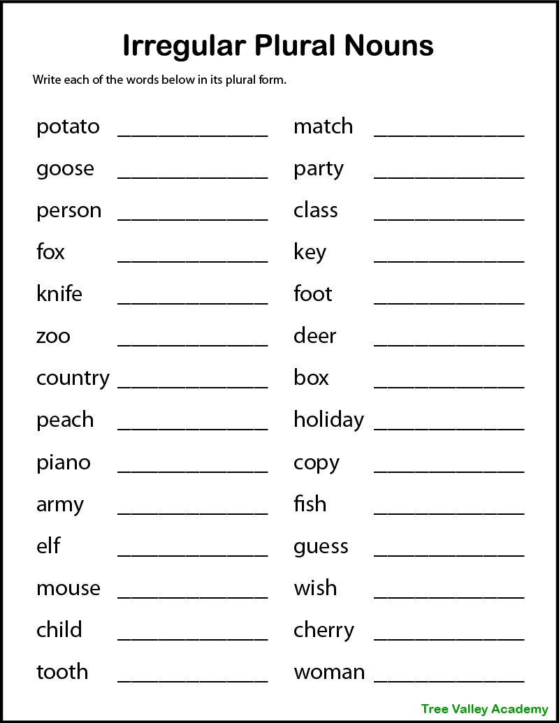 Irregular Nouns Plural Worksheet