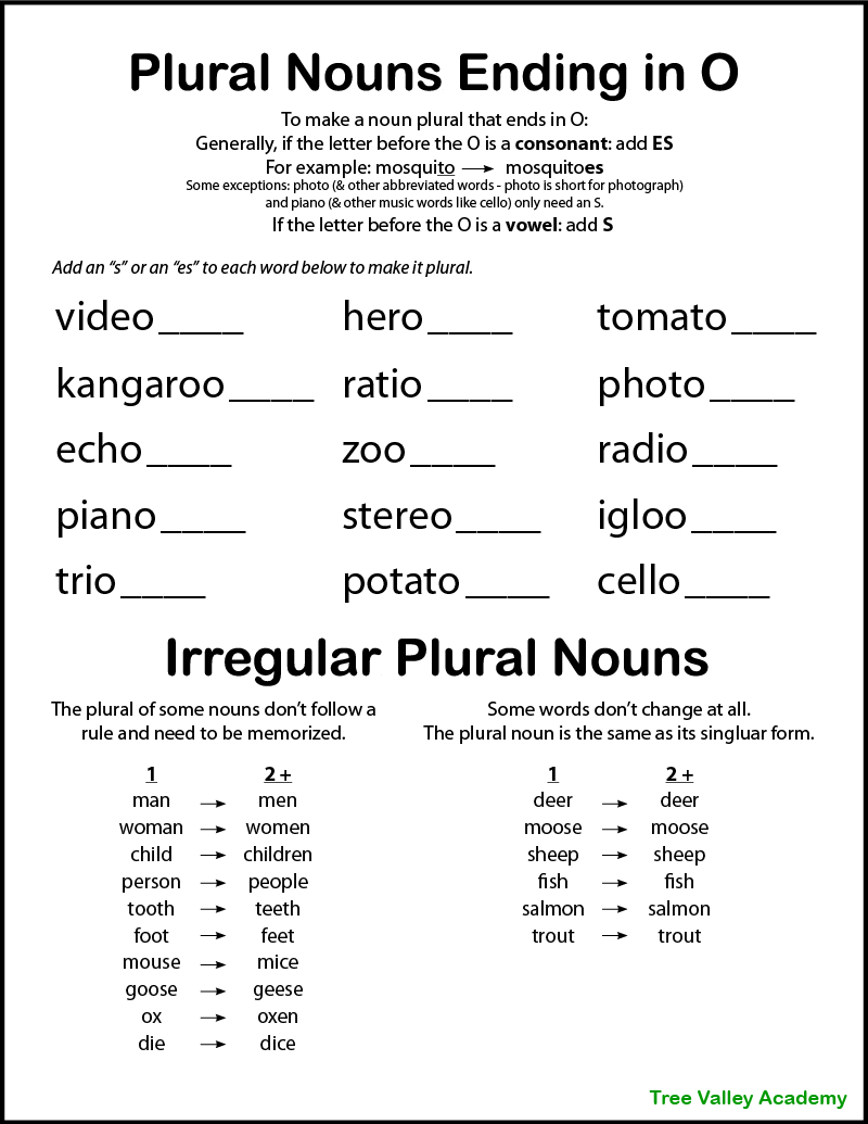 Plural Nouns Ending In Y