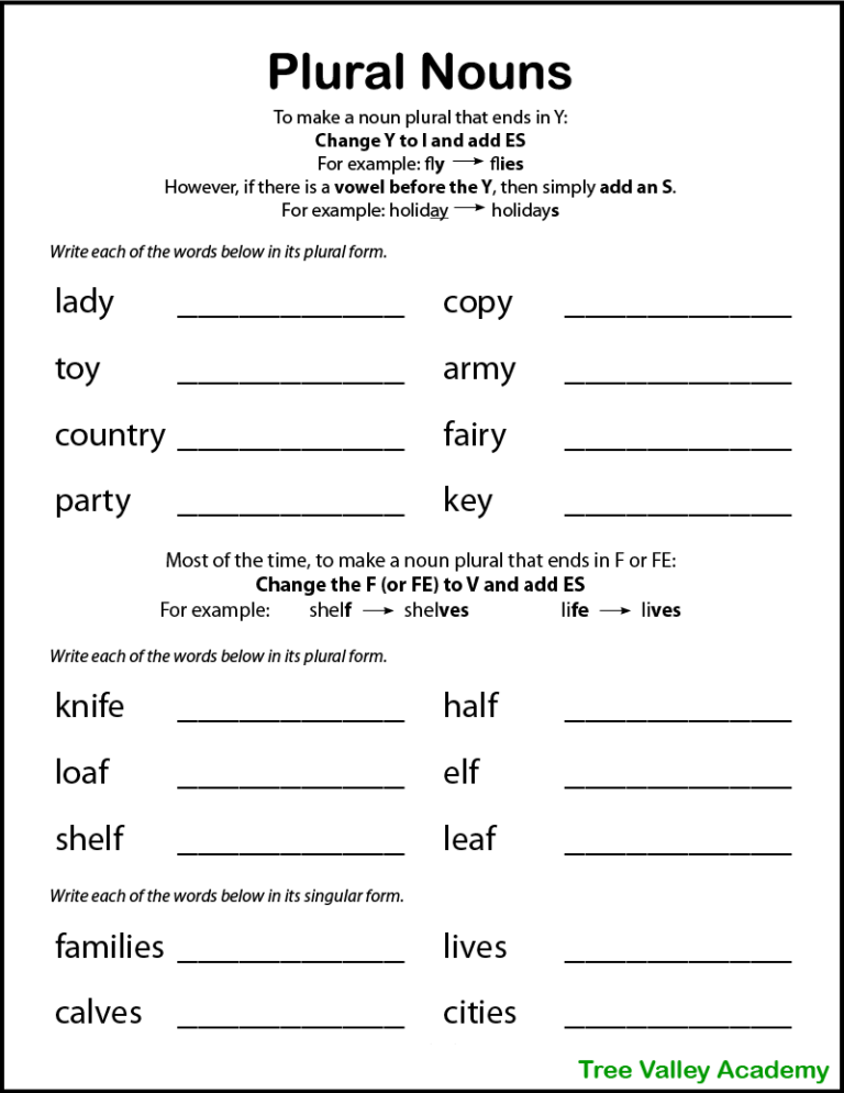 worksheet plural form of nouns