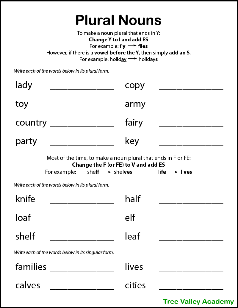 Worksheet On Singular Plural For Class 3