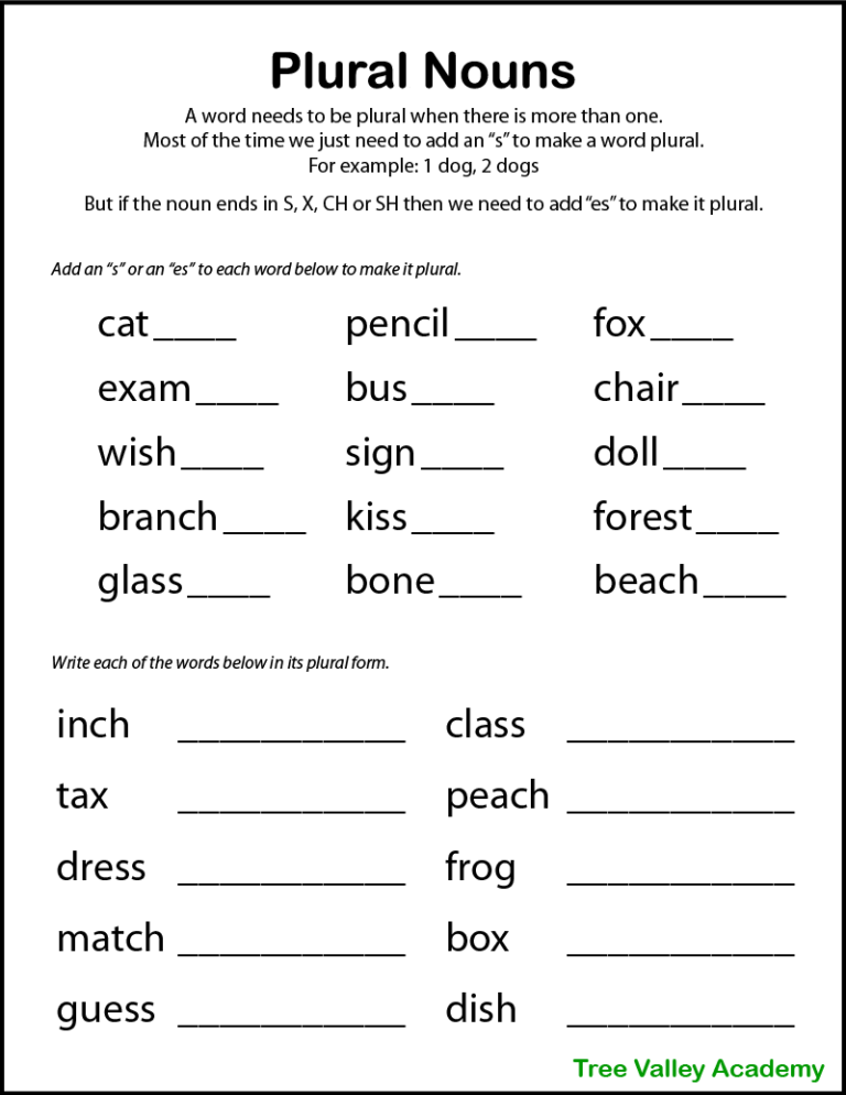 Free Printable Irregular Plural Noun Worksheets