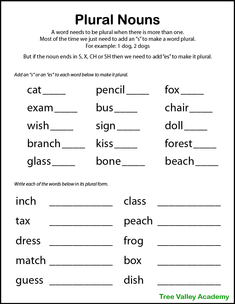 Special Plurals Noun Worksheets