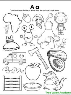 A free printable letter A sound coloring worksheet for kindergarten. The black and white printable has 18 images. 9 of the images begin with a short A sound, and 3 of the images begin with a long A sound. Kids need to color the images whose initial sound is a short A vowel sound or a long A vowel sound.