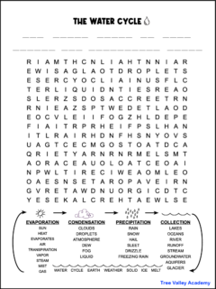 Free printable water cycle word search. There are lines above the 16 X 18 grid of letters for a mystery message. The 40 words to find are shown below the grid of letters. The words are grouped into the 4 stages of a water cycle. They are shown as part of a diagram with arrows. Image of a sun over the evaporation grouping. A cloud over condensation words. Rain drops over precipitation words. And waves over collection words.