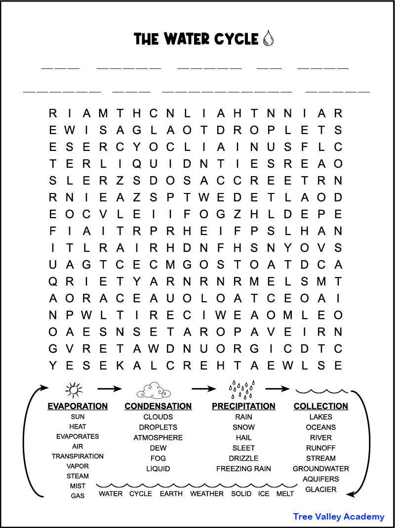 water cycle word search tree valley academy