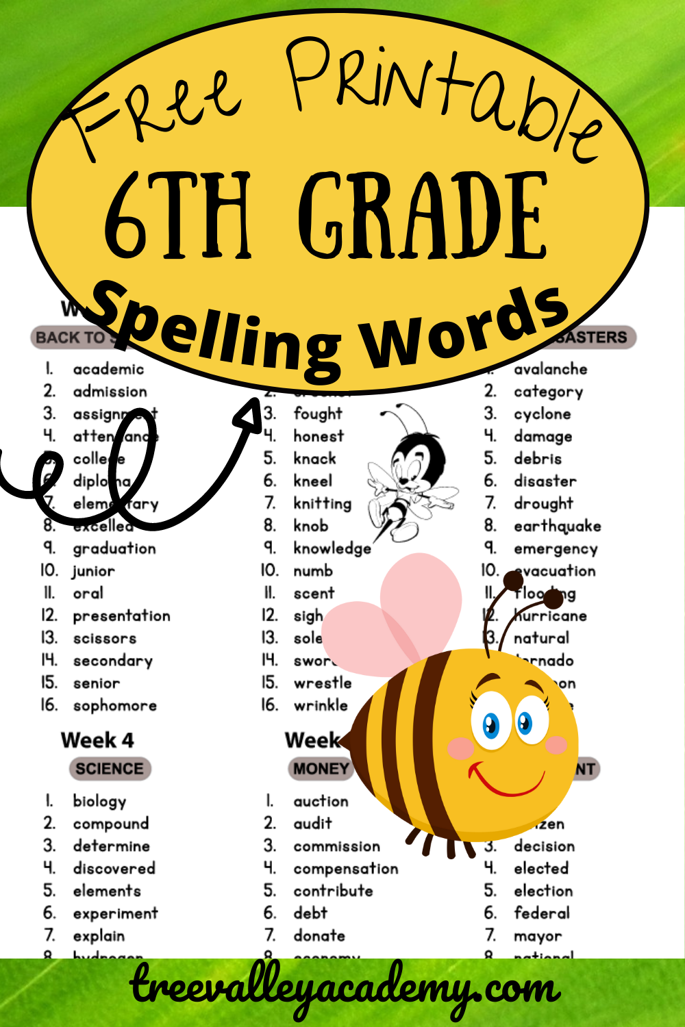Grade 6 Spelling Words - Tree Valley Academy