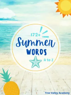 172+ summer words from A to Z