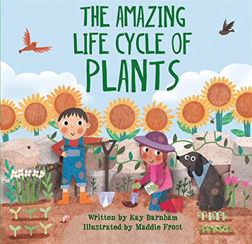 "The Amazing Life Cycle of Plant" book by Kay Barnham.