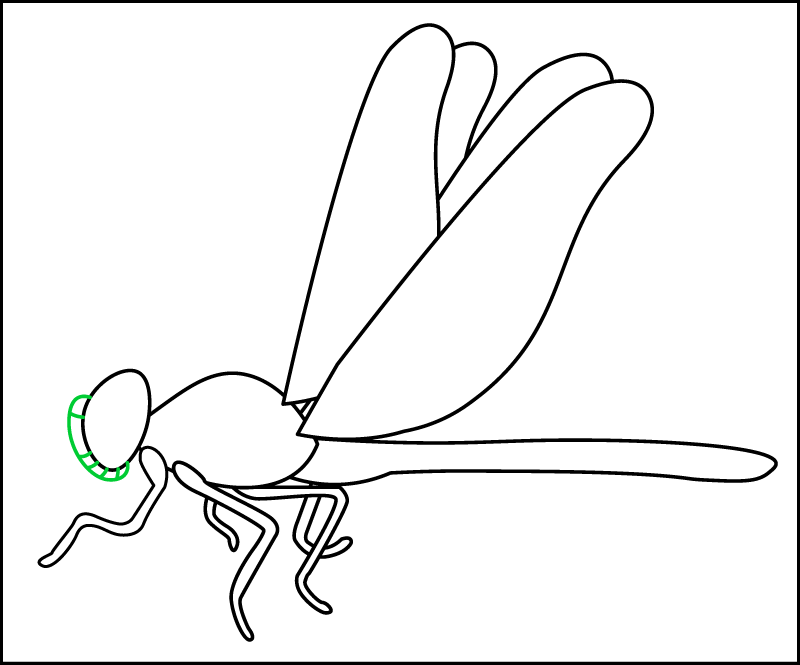 Step 7 of drawing the side view of a realistic dragonfly: drawing a compound eye.