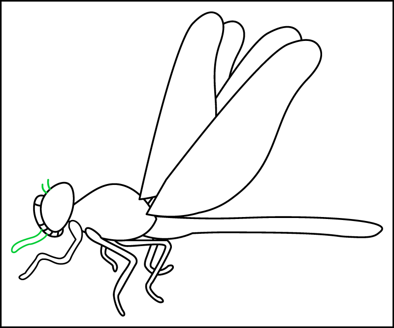 Step 8 of drawing the side view of a realistic dragonfly: drawing the 6th leg and antennae.