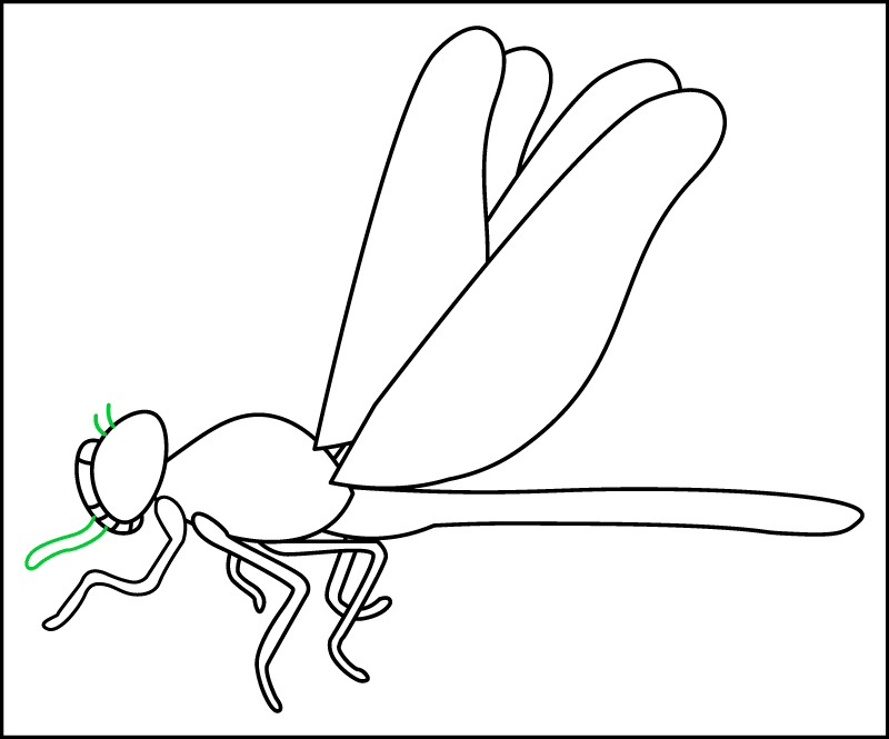 Step 8 of drawing the side view of a realistic dragonfly: drawing the 6th leg and antennae.