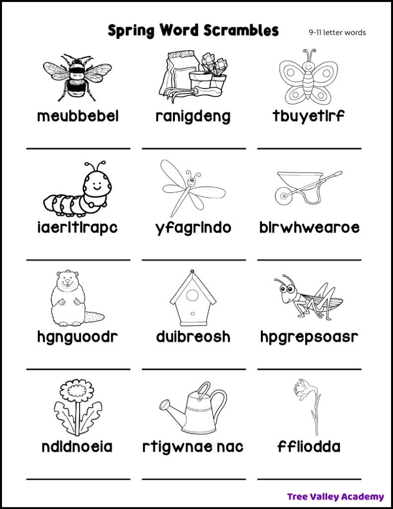 Free printable 9 to 11 letter spring word scramble for kids. The puzzle has 12 jumbled spring words with a black and white drawing above each word to make spelling fun and easy.