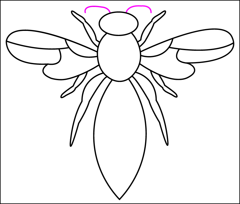 To draw the wasp's antennae, draw 2 downward arcs coming out of the top of its head.