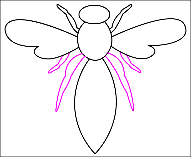 Draw 2 longer back legs from the wasp's thorax. Draw 2 shorter legs, 1 behind each wing.