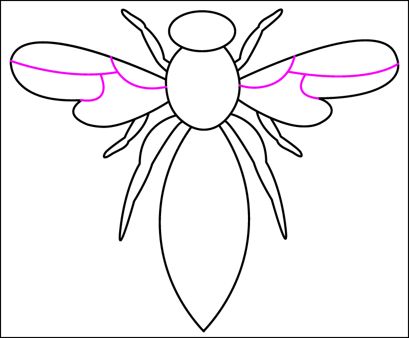 Draw 3 curved lines inside each wing of the wasp to add the wing's details.