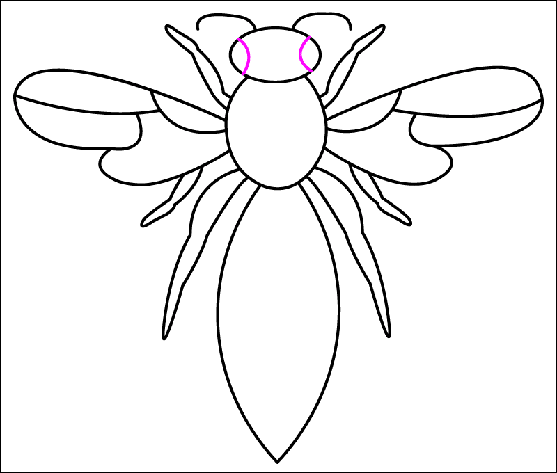 To draw the wasp's eyes, draw 2 arcs on the right and left side of its head.