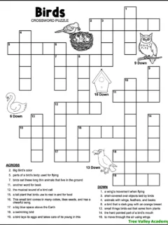 Printable easy bird crossword puzzle for kids around 2nd grade. The black and white grade 2 word puzzle has 17 clues to solve, 4 of them are picture clues. The images of an owl, a swan, a crow, a birdhouse, and a mother bird feeding her baby birds in a nest decorate the puzzle.
