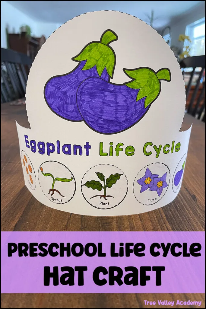 Completed eggplant life cycle hat craft for preschoolers. The paper hat displays the life cycle stages: seed, sprout, plant, flower, and eggplant, each with a corresponding illustration. The text at the bottom reads 'Preschool Life Cycle Hat Craft.'