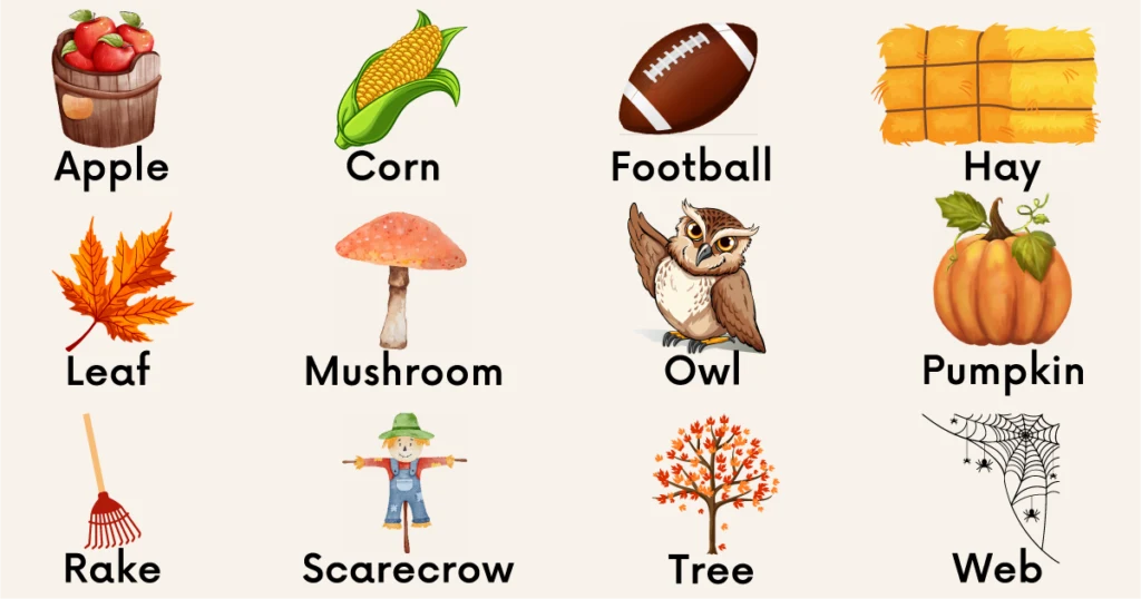 Fall words with a picture of each. The words are: apple, corn, football, hay, leaf, mushroom, owl, pumpkin, rake, scarecrow, tree, and web.