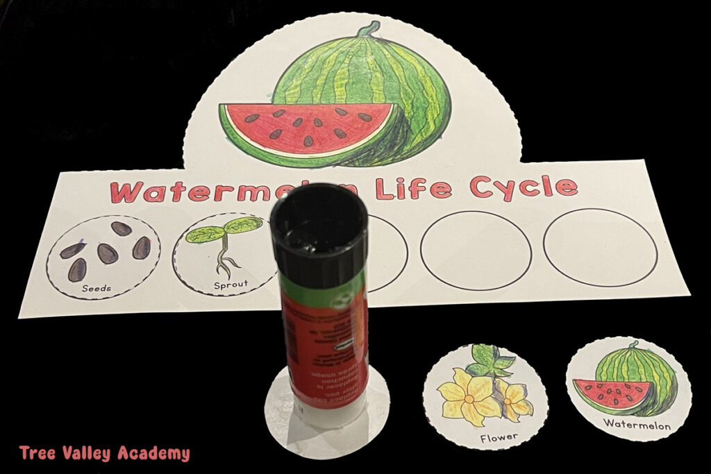 Gluing watermelon life cycle stages onto a preschool hat craft using a glue stick.