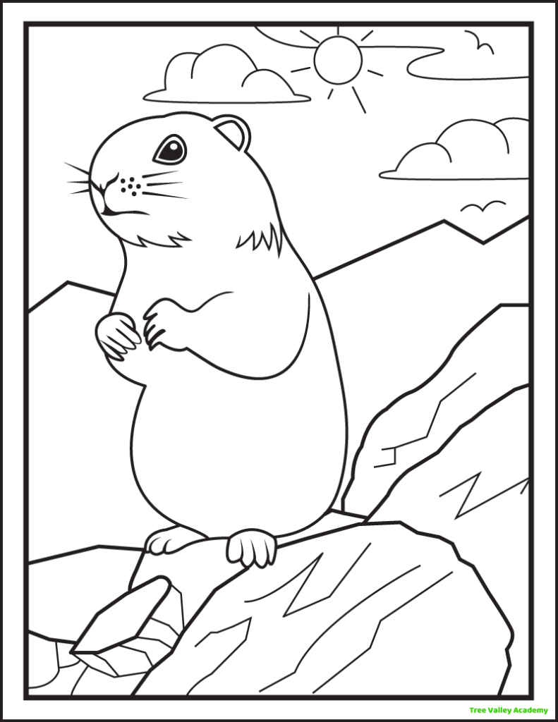 A groundhog coloring page for kids. A realistic groundhog is looking around while he is standing on his back legs on large boulders. The background has a sun, clouds, and birds.