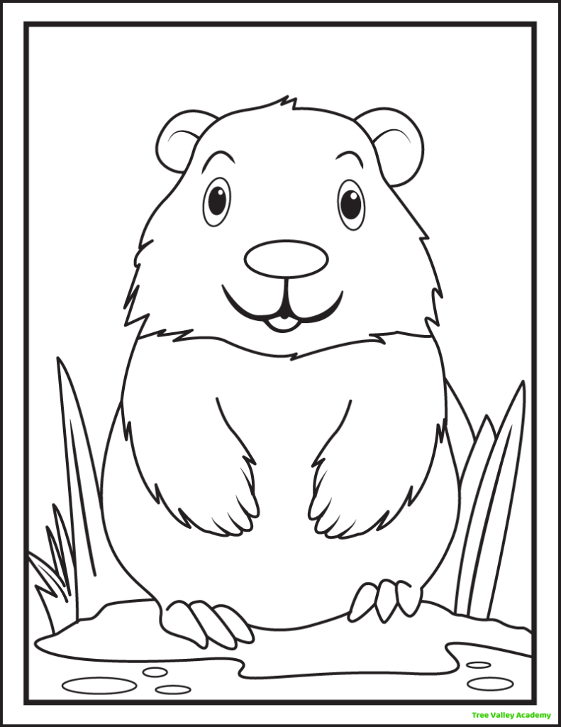 A black and white printable groundhog coloring page. The front view is of a groundhog sitting on his back legs on a small pile of snow or dirt. There is tall grass behind the groundhog.