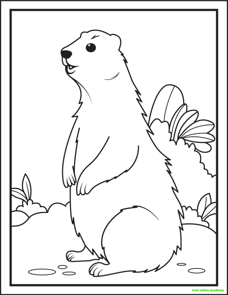 A groundhog coloring page for kids. The left side of a realistic groundhog that is looking around while he is standing on his back legs. The background has a lot of leafy greens.