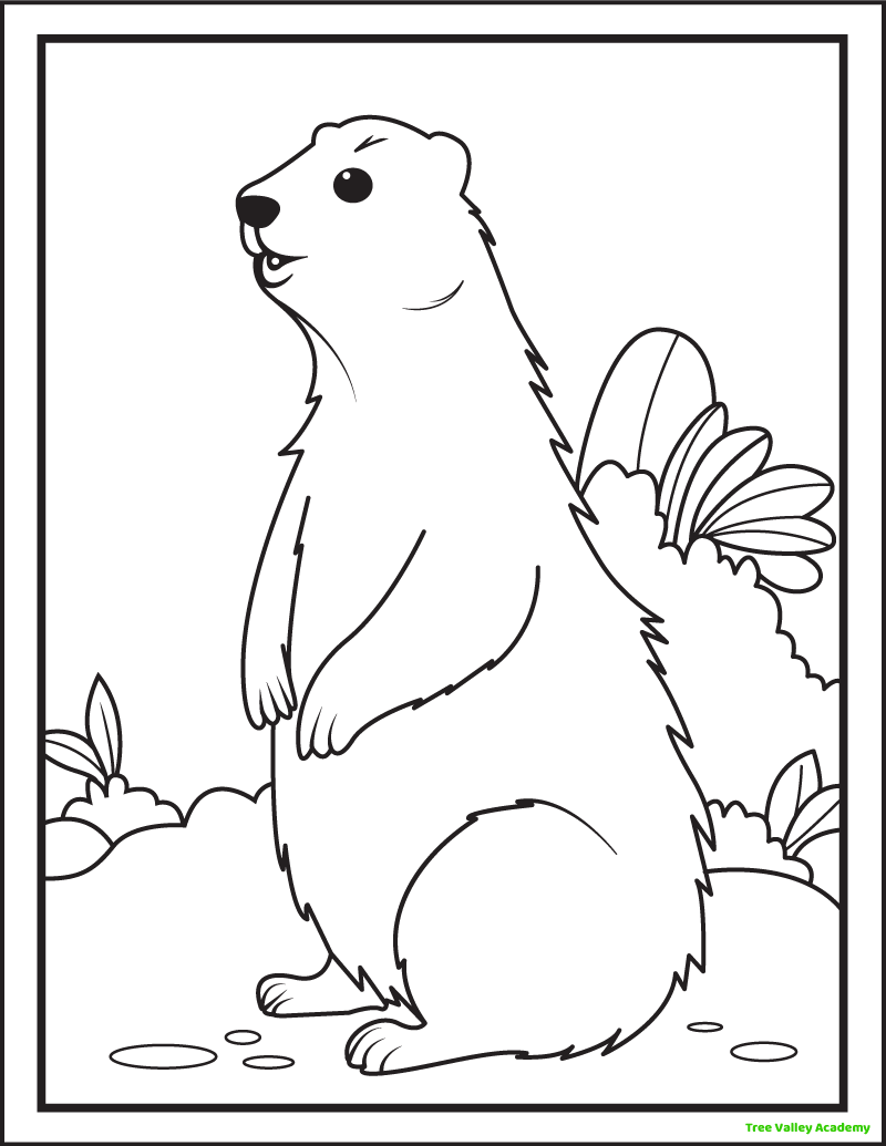 8 groundhog day coloring pages tree valley academy