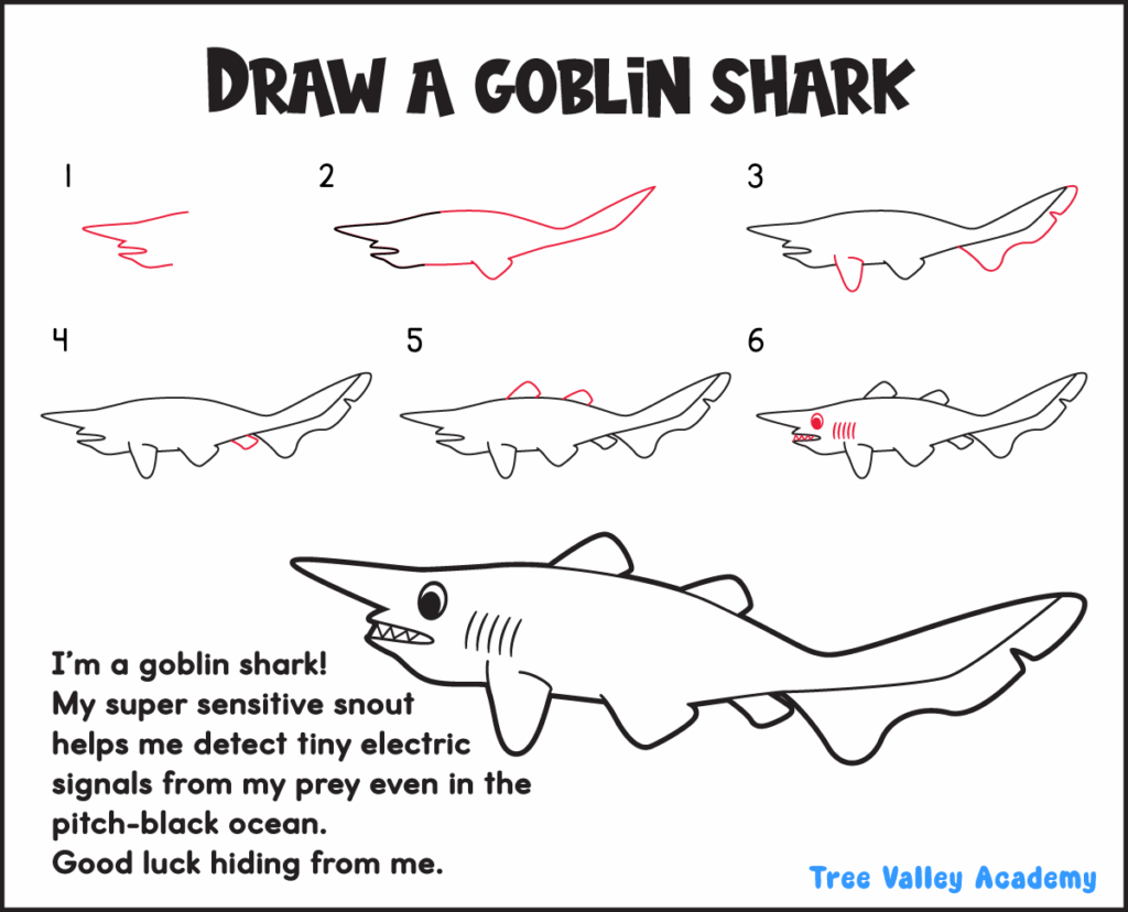 Printable goblin shark drawing guide with six illustrated steps for drawing its long snout and unique body shape.