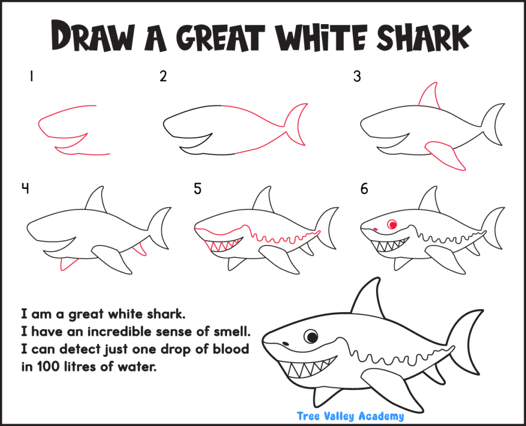 Easy great white shark drawing printable that teaches kids how to draw a smiling great white shark one step at a time.